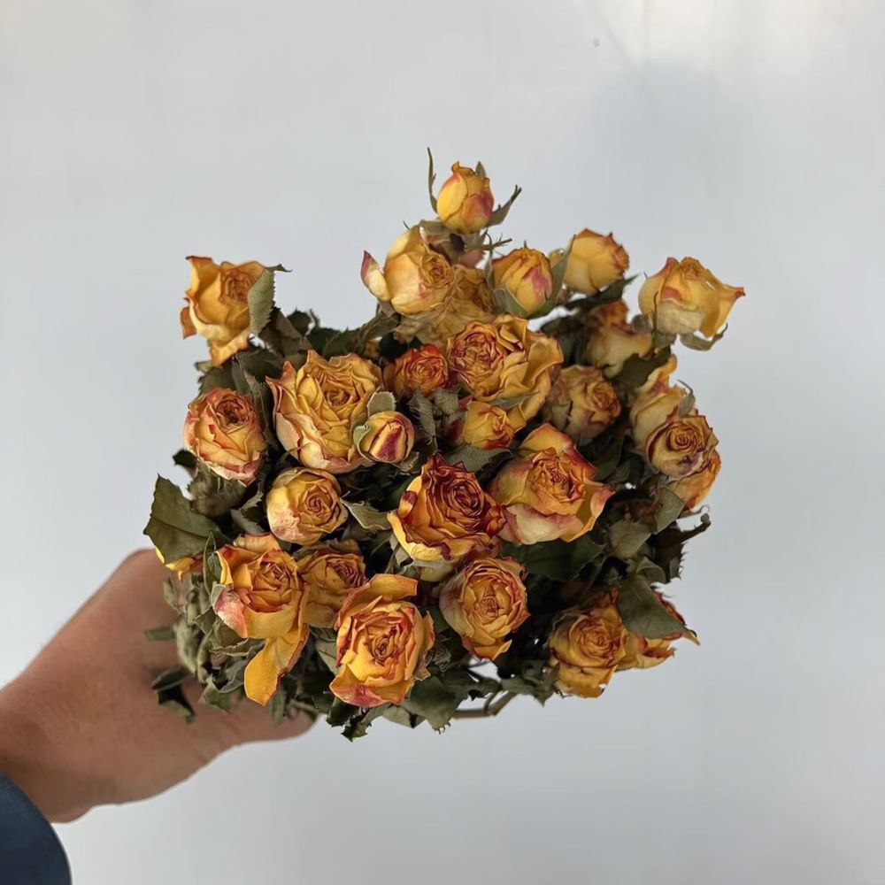 진짜 보존 처리된 장미, 드라이 플라워 다발, 자연 그 - Resin Art Rose 리뷰 및 가격